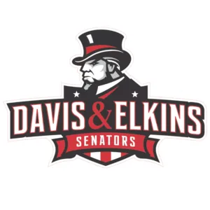 imgi_238_Davis-and-Elkins-College-Fares-Darwazeh-Bball-900-x-900-px-300x300