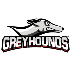 imgi_250_Untitled-design-59-300x300