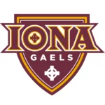 imgi_80_Iona-University-Oscar-Hourruitiner-Basketball-900-x-900-px-150x150